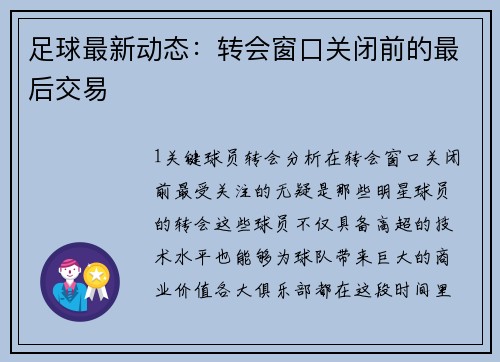足球最新动态：转会窗口关闭前的最后交易